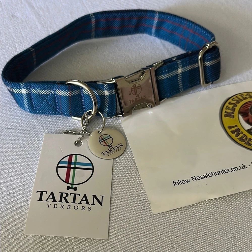 Tart Blue Dog Collar with Metal Buckle and D-Ring